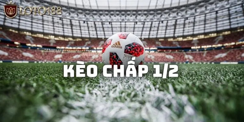 Kèo Chấp 1/2 - Cách đọc chuẩn kiếm thưởng bạc triệu Loto188